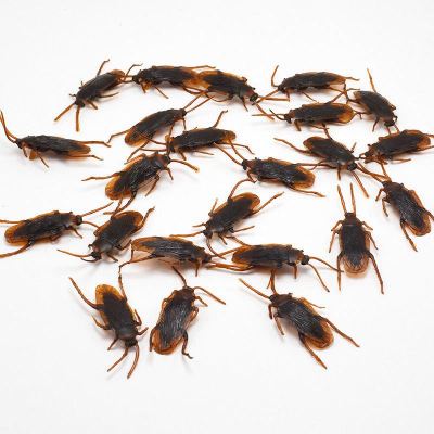 12 Pcs Halloween Simulated Plastic Cockroaches Deceptive Props Toy Trick Decor