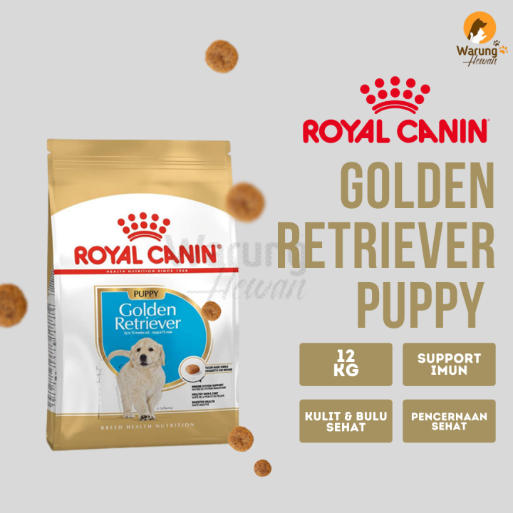 Royal Canin Golden Retriever Puppy Feeding Guide Royal Canin Golden Retriever Puppy 12 kg | Lazada Indonesia