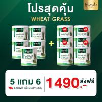 ✅ส่งฟรี ของแท้100% โปร 5 แถม 6  วีทกราส คลอโรฟิลล์ ยูมิโกะ