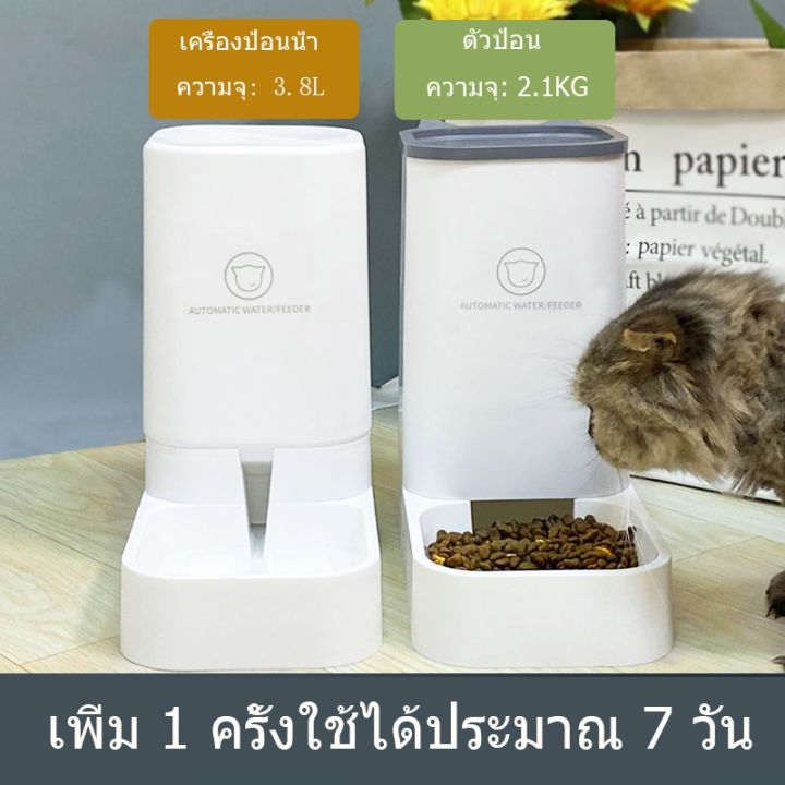 ส่งฟรี-ชามอาหารแมว-ที่ให้อาหารอัตโนมัติ-เครื่องให้อาหารแมวอัตโนมัติ-ให้อาหารอัตโนมัติ-เครื่องให้อาหารสุนัขอัตโนมัติ