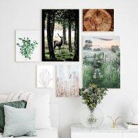 Nordic Forest Plant Leaf Grass Feather ภูมิทัศน์ภาพวาดผ้าใบ Wall Art พิมพ์สำหรับห้องนั่งเล่น Home Decor