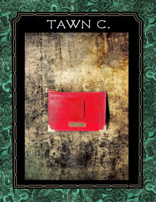 TAWN C. Exotic Skin Accessory &amp; Stationary Collection - Lizard Skin, Coin Pouch in Chilli Red