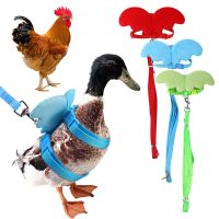 Chicken Little Angel Wings Harness Chest Strap Leash Set Traction Rope Duck Goose Breast Strap Outing Pet Supplies Accessories Leashes