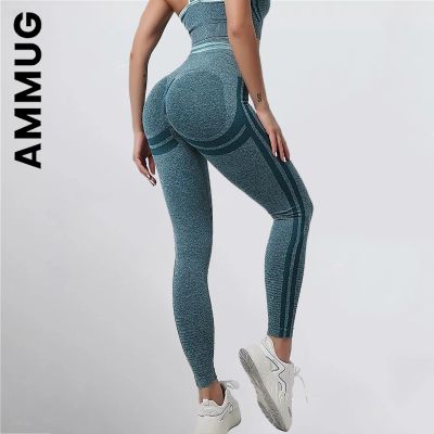 [ใหม่] Ammug ที่ไร้รอยต่อใหม่ผู้หญิงยิมถุงน่องกางเกงโยคะขนาดใหญ่สปอร์ต Leggings สำหรับผู้หญิงเสียงขรมออกกำลังกายหญิงกีฬา Leggings