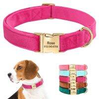 【DT】hot！ Personalized Dog Collar Super Soft Dogs ID Buckle Collars Engrave Name Necklace Adjutable Small Medium Large