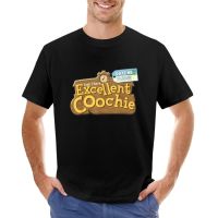 Yeah I Have Excellent Coochie T-Shirt Sublime T Shirt Oversized T-Shirt Custom T Shirts Mens Graphic T-Shirts