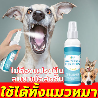 🐶แนะนำโดยสัตวแพทย์🐱 สารสกัดสมุนไพร ไม่ผสมน้ำตาล น้ำยาดับกลิ่นปากแมว 100ml ดับกลิ่นปากสัตว์เลี้ยง น้ำยาดับกลิ่นปากสุนัข กำจัดหินปูนฟัน สัตว์เลี้ยง กลิ่นปาก ดับกลิ่นปากแมว ยารักษาแผลในปากแมว แมวปากเหม็น ดับกลิ่นปากหมา สุนัขปากเหม็น สเปรย์ดับกลิ่นปากสุนัข