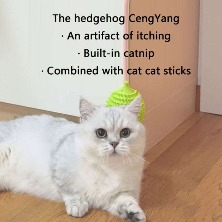 ลูกแมวนวดหวีสำหรับสั้นยาวโกรธแมวอุปกรณ์ของเล่นแบบโต้ตอบกรูมมิ่ง-heagehog-รูปร่างด้วยหญ้าชนิดหนึ่งกระเป๋า