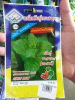 เมล็ดพันธุ์ สาระแหน่ สะแน่ สะระแหน่ พันธุ์ขะแยะ lemon balm ดก งอกดี ต้นแข็งแรง ปลูกง่าย น้ำหนักดี ผลผลิตสูง ทนโรค ผักสวนครัว