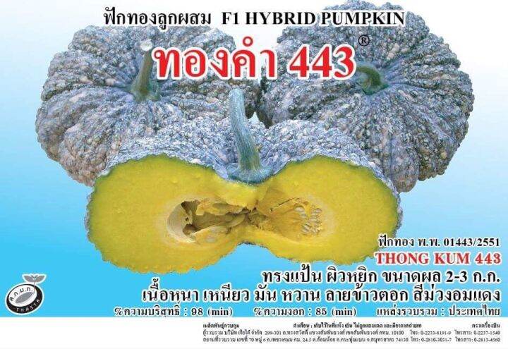 ฟักทองทองคำ443-f1-เมล็ดพันธุ์-ลายข้าวตอก-100-ก-ตราเจียไต๋