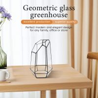 House Greenhouse Hexagonal Glass Vase for Fee Garden Miniature Mini Landscape