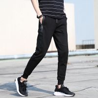 Pants Mens Casual Trousers Beam Pants Korean Trendy Slim Cropped Pants Casual Pants Neck Pants