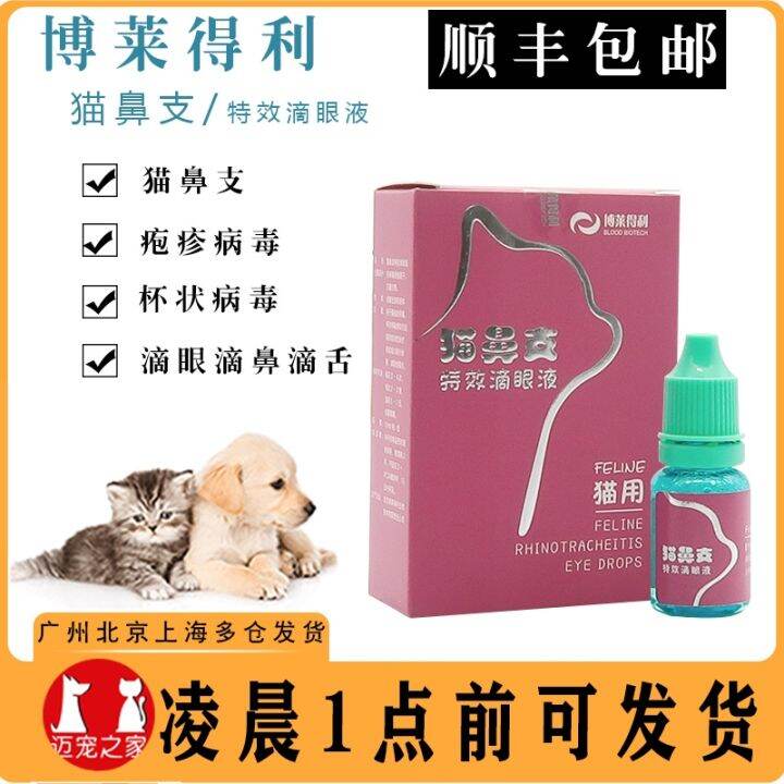 Bradley cat nasal branch eye drops herpes virus calicivirus infection conjunctivitis Lazada PH
