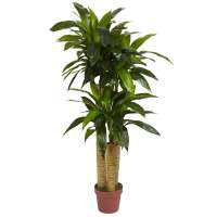 Dracaena ต้นไม้ประดิษฐ์ก้านข้าวโพดแท้สีเขียว Papel Coreano Para Flores ดอกไม้ประดิษฐ์ขายส่ง Ramos De Quinceañera W