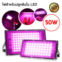 220V Full Spectrum LED Grow Light 50W/100W ไฟปลุกต้นไม้ ไฟช่วยต้นไม้ตัวเร็ว มีสวิตช์ปิดเปิด (พร้อมส่ง)