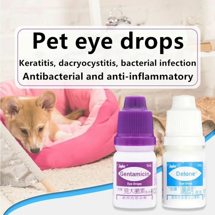 Eye Drops For Pets Cat And Dogs Eye Infection Better Than Gentamicin ...