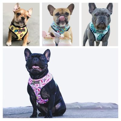 （PAPI PET）ชุดสายรัดและสายจูงสุนัข Szelki Dla Psa Smycz อุปกรณ์เสริม Pet Arnes Perro Correa Pitbull Pug Hondenriem Para Lead Pechera Vest