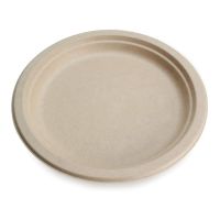 100% Compostable Disposable Paper Plates Bulk 9 Inch 50 Pack, Bamboo Plates, Eco Friendly, Biodegradable