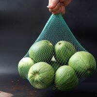 100/200Pcs Durable Grocery Mesh Bag Onion Potato Watermelon Organizer Container Tote Net Hand Totes Nylon Mesh Food Bag