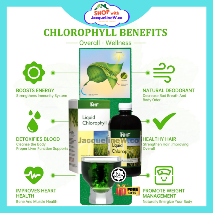 NHF Liquid Chlorophyll Extract 叶绿素 Klorofil 500ml per bottle