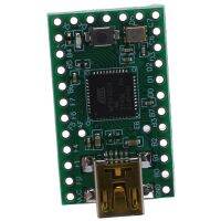 Teensy 2.0 USB AVR ATMEGA32U4 Development Board Expansion Board U Disk Experiment Board with Data Cable for