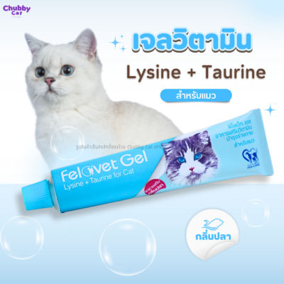 Felovet Gel เจลเสริมวิตามินบำรุงรา ไลซีน ทอรีน สำหรับน้องเเมว 50 g. ฟีโลเว็ท เจล อาหารเสริมสำหรับแมว