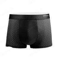 HFH-Catman Mesh Ice Silk กางเกงในชาย