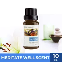 Aroma Oil น้ำมันหอมระเหย กลิ่น Meditate Well เสริมสมาธิ ขนาด 10ml - น้ำมันอโรม่า Fragrance Oil ใช้กับเครื่องพ่นไอน้ำ เครื่องพ่นอโรม่า เตาอโรม่า สุดคุ้ม !