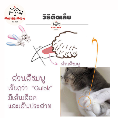 ชุดกรรไกรตัดเล็บสัตว์เลี้ยง-ที่ตะไบ-ดีไซน์หูกระต่าย-กรรไกรตัดเล็บสุนัข-pet-nail-clipper-ที่ตัดเล็บสุนัข-กรรไกรตัดเล็บแมว