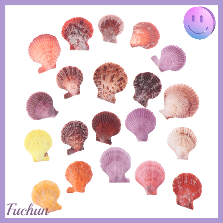 fuchun-เครื่องประดับตกแต่งเปลือกหอยธรรมชาติสีสันสดใสจำนวน20ชิ้น-ของประดับตกแต่งงานฝีมือต่างหูรูปหอยเชลล์