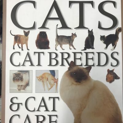 CAT Cat Breeds & Cat Care