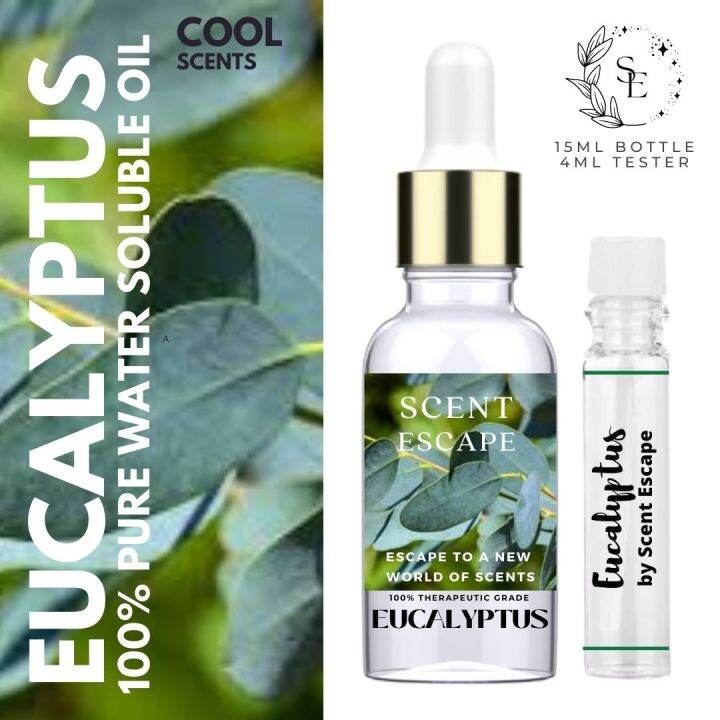 EUCALYPTUS Humidifier Water Soluble Oil / Aromatherapy Oil / Diffuser