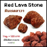 หินเรดลาวา Red Lava Stones ตกแต่งตู้ปลา ตู้ไม้น้ำ หินแท้ 100% (ยังไม่ล้าง) | บ้านไม้น้ำ?