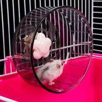 [L.W.F 2022] ล้อกากวิ่งสำหรับสัตว์เลี้ยงขนาดเล็กกระรอก Chinchillas หนูน้อยไม่ลื่นเงียบวิ่งออกกำลังกาย Toyplastic ของเล่นล้อหนูแฮมสเตอร์