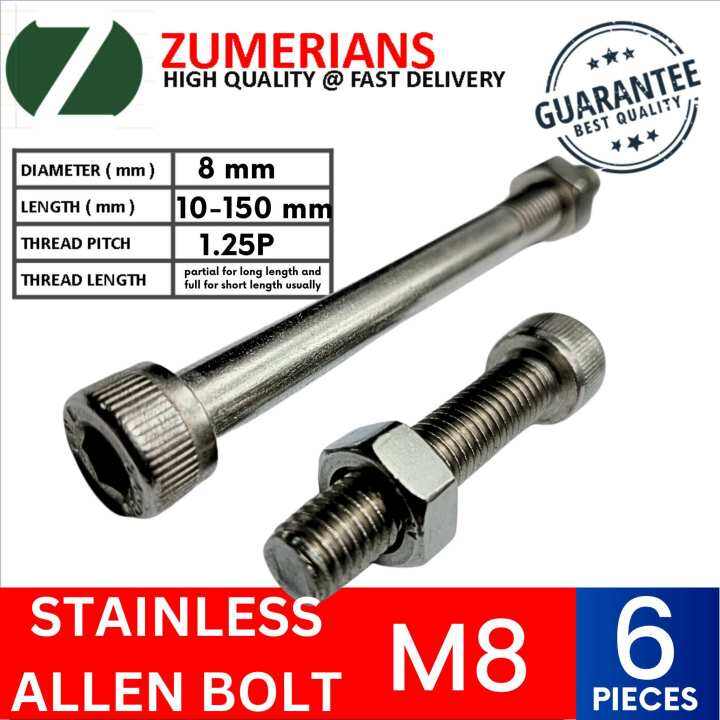 Stainless 304 Allen Bolt M10, Capscrew Socket Head Cap Screw, 10 mm