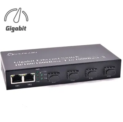 4 SFP + 2 GE CONVERTER SWITCH