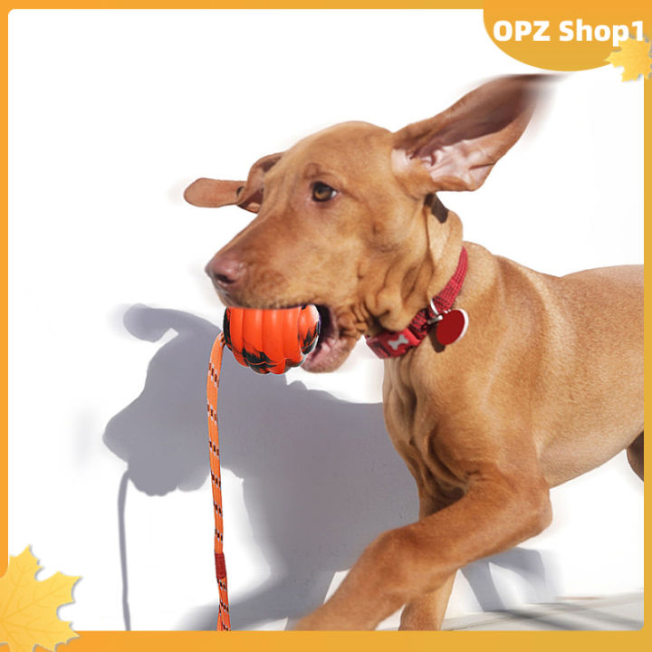 opz-ของเล่นสุนัขเชือกของเล่นสัตว์เลี้ยงแบบอินเตอร์แอคทีฟลูกบอลโมล่าทนทานต่อการกัดเพื่อการเล่นออกกำลังกาย