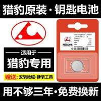 Cheetah cs6 cs9 cs10 6484 original car remote control key electronic CR2032 battery buttons