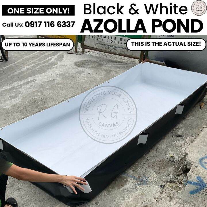 Trapond Frame AZOLLA BED Tarpaulin Azolla Bed Trapond & Fish Ponds Trapal Waterproof ...