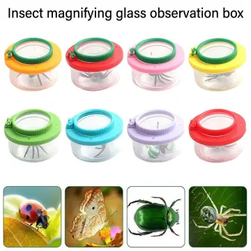 Children Outdoor Bug Viewer Insect Catcher Magnifiers Butterfly