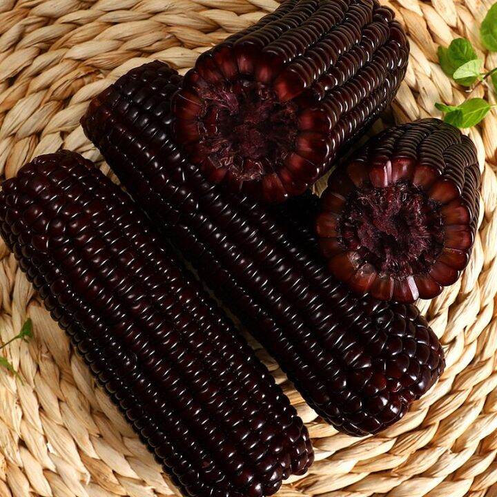 Chinese specialty fresh black glutinous corn kernels sweet glutinous