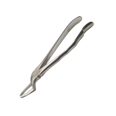 Dental Adult Extraction Forceps Wisdom Teeth Buried Teeth Broken Tooth Roots