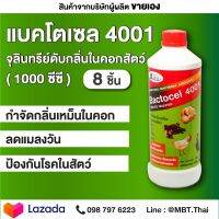 BACTOCEL แบคโตเซล 4001 8 ขวด 1000CC จุลินทรีย์คอกสัตว์ สำหรับฟาร์ม วัว หมู ไก่ แพ้ ม้า ลดแมลงวัน ป้องกันโรคในสัตว์ จุลินทรีย์สัตว์ รักษาโรคในสัตว