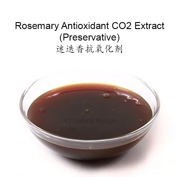 Rosemary Antioxidant CO2 Extract (Preservative) 迷迭香抗氧化剂 Lazada