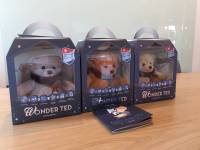 ตุ๊กตาหมีป้องกันคลื่นแม่เหล็กไฟฟ้า WONDER TED Gen.2  by RayGuard