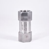 1/8" 1/4" 3/8" 1/2" 3/4" 1" BSP Female One Way Check Valve Non-return Inline 304 316 Stainless Steel