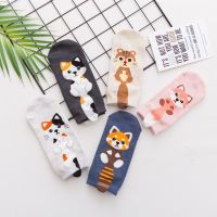 5 PairsPack Funny Kawaii Women Socks Cartoon Cat Fox Creative Design Fashion Girls Summer Boat Ankle Socks