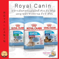 Royal Canin Starter Mother &amp; Baby Dog ขนาด 3-4kg