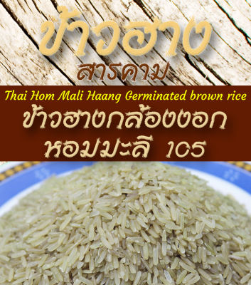 ข้าวฮางกล้องงอก ข้าวกล้องฮางงอก หอมมะลิ105 แท้100% แพ็คสุญญากาศ ขนาด 1 กก.