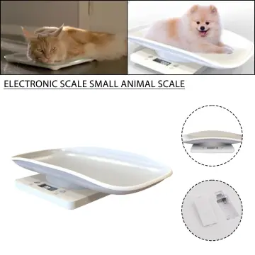 digital pets - Buy digital pets at Best Price in Malaysia
